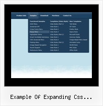 Example Of Expanding Css Navigation Dropdown Java Menu